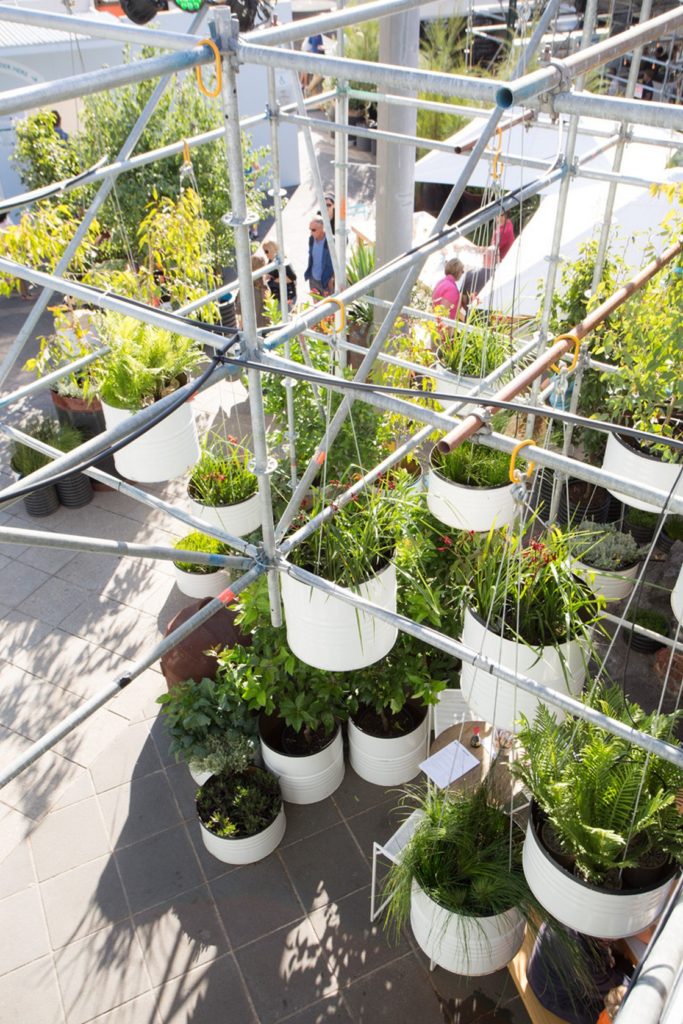 MFWF_2014_The Immersery_ HASSELL _ Suleiman Alhadidi